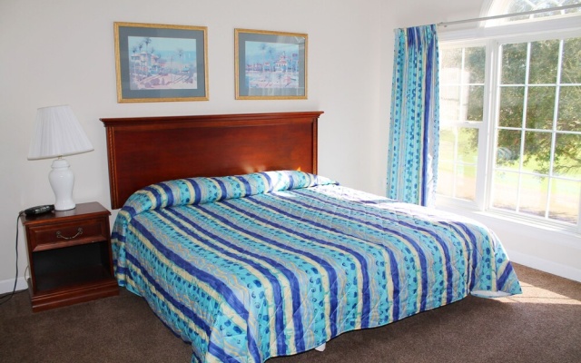 224 Wedgewood