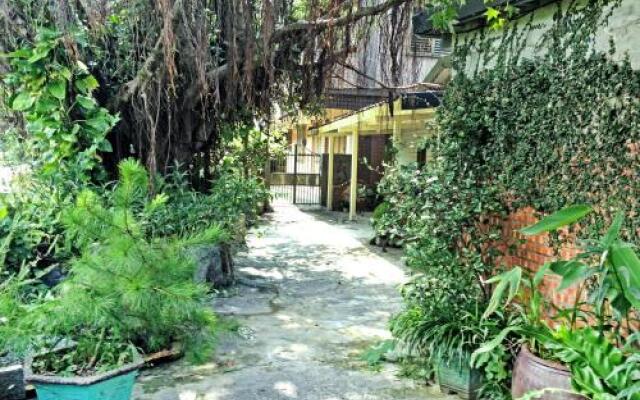 Taipei Jinguashi Treehouse Homestay