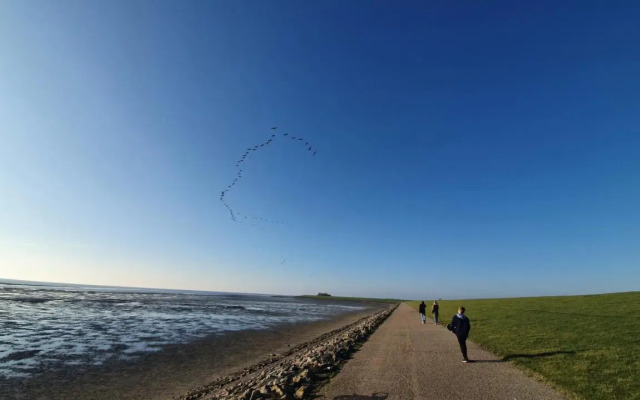 Reetdachhaus Moordeichperle