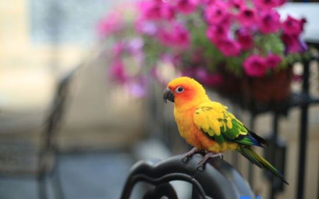 Guanzhong Yuansu Hotel (Liquan Yuanjia Village)