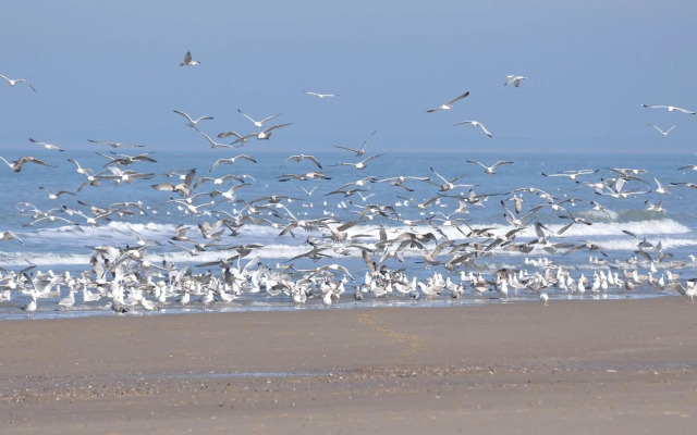 Sfeervol vakantiehuis dichtbij strand