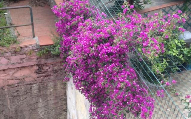 Hotel Garden 2