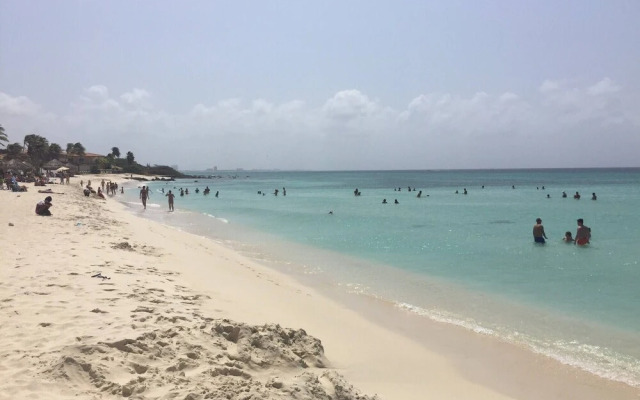 Acozy Nice Studio Palm Beach,wifi Free,beach Close