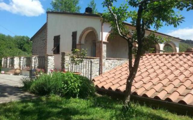 San Francesco E Il Lupo