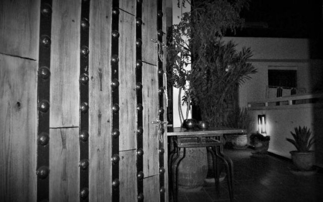 Riad Safina
