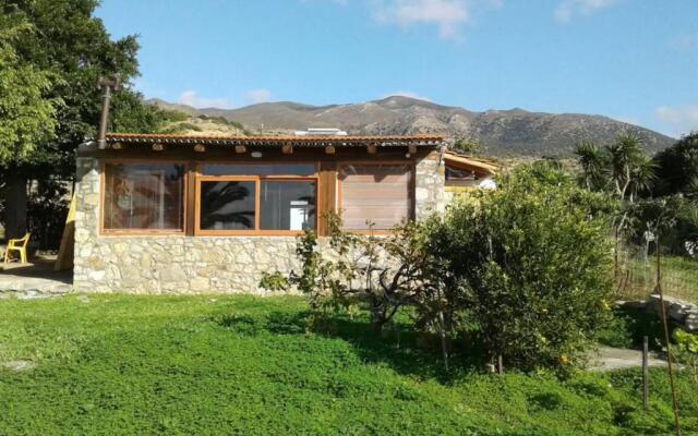 Antonis's Palm House