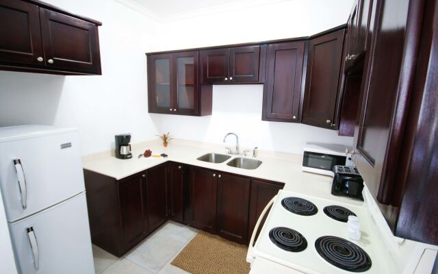 Cattleya's New Kingston Guest Apartment