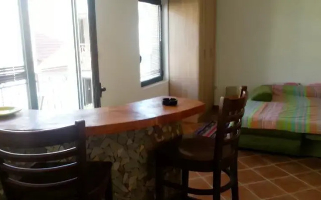 Apartment Irina