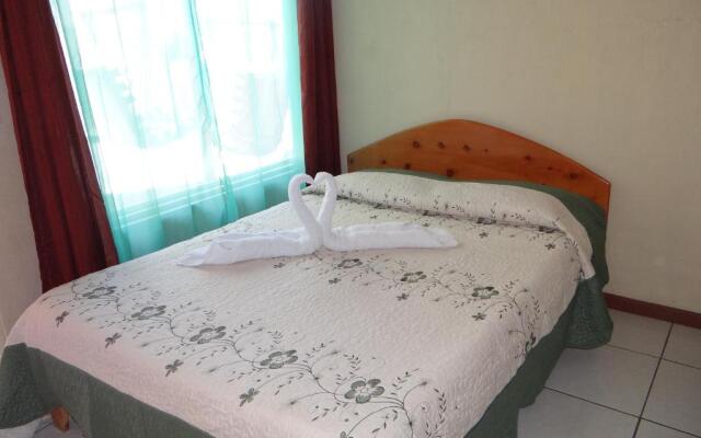Hotel Sloth Backpackers