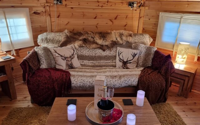 Cozy Cabin With Hot Tub Retreat in Anglesey
