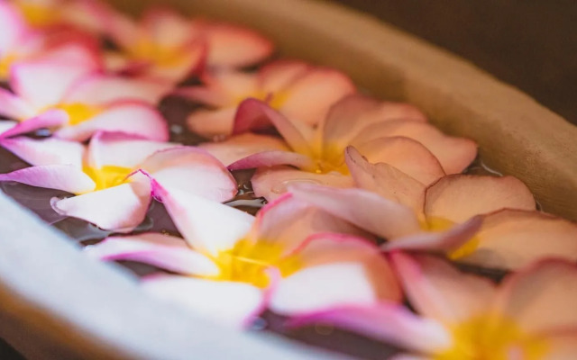 Ayur Ayur Ayurveda Retreat