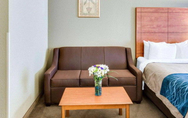 Comfort Inn & Suites El Dorado