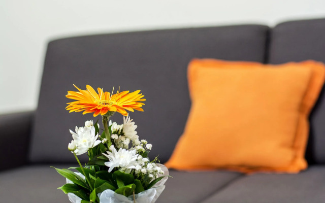 Bridge Apart Belgrade