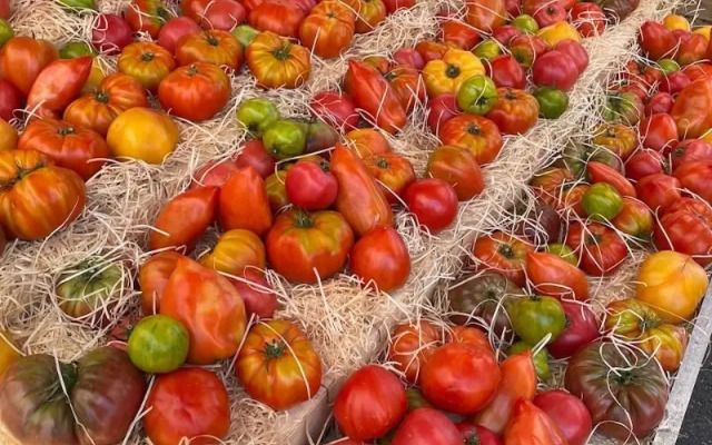Le Mediterranée