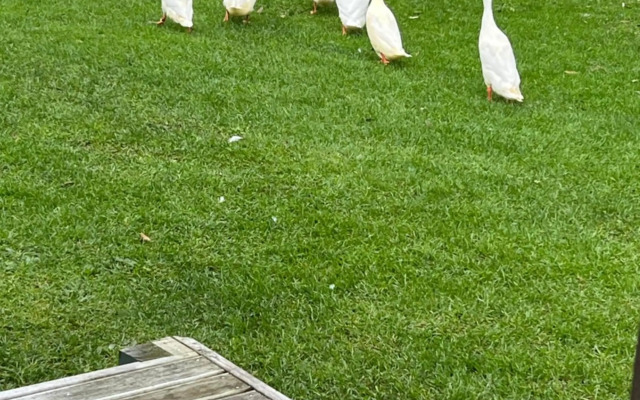 @Taradise-Opunake - eco-friendly Coastal hideaway