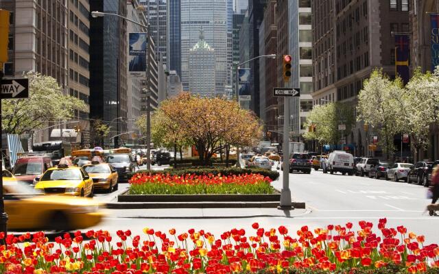 Loews Regency New York Hotel