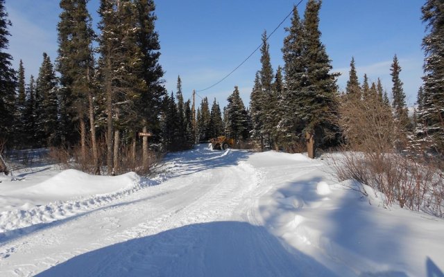 Denali Primrose B&B