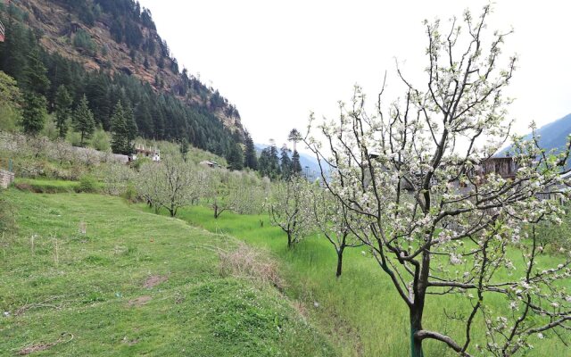 OYO 13697 Home Exotic Hill View Studio Naggar Road