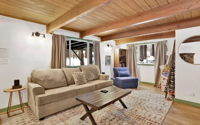 Midnight Pines #2424