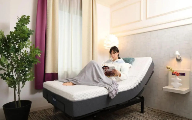 Grand Park Hotel The Luxueux Minamikashiwa