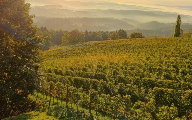 Weinstöckl Hochgrail pures sein