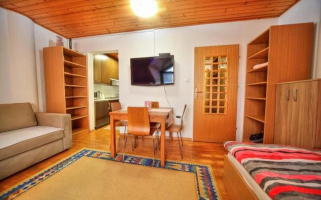 Apartment Viki