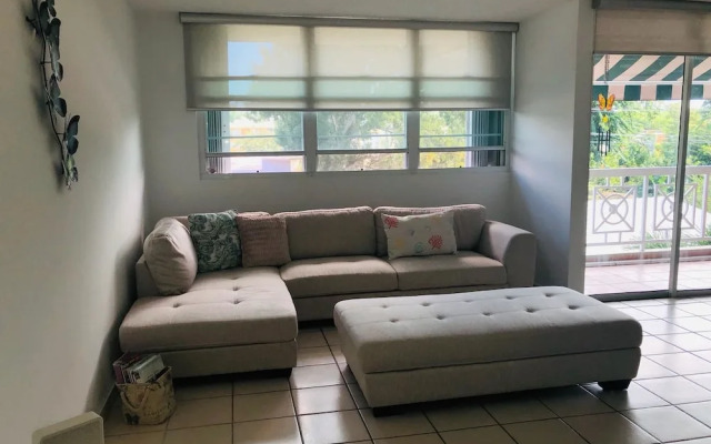 Suburb Pethouse Apartment