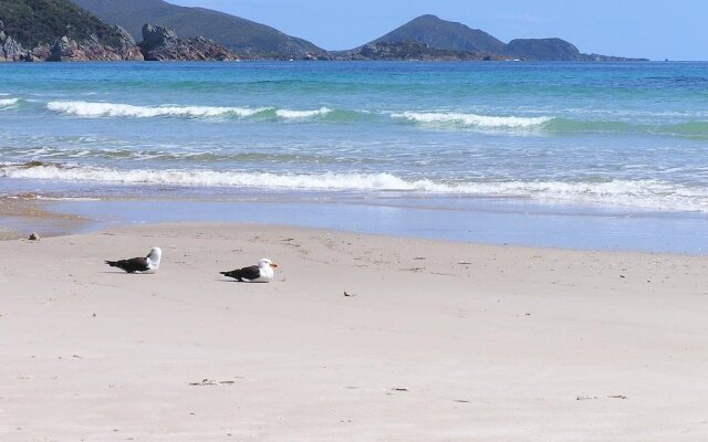 Eagles Rise Tasmania