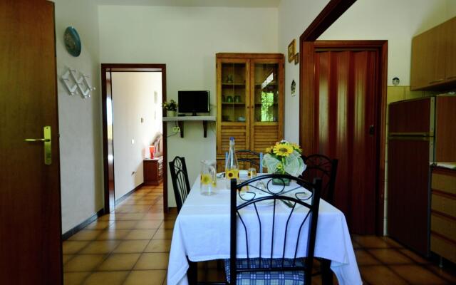 Sunlit Home With Pool