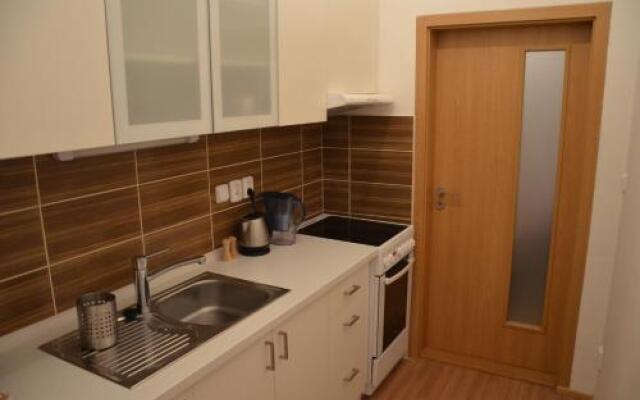 Comfortable Apartment Vlkova