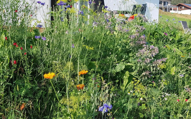 Wohnung Wiesengrün - Osserblick