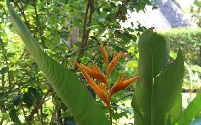 Villa Madinina