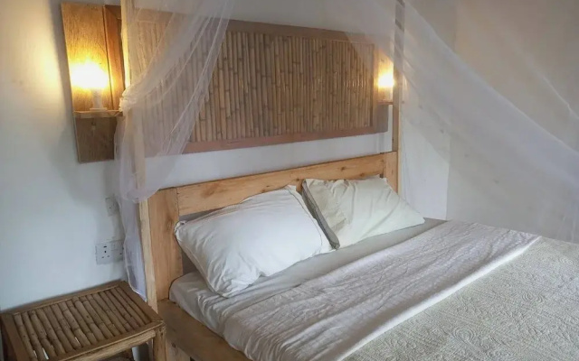 Little Monkey Camp