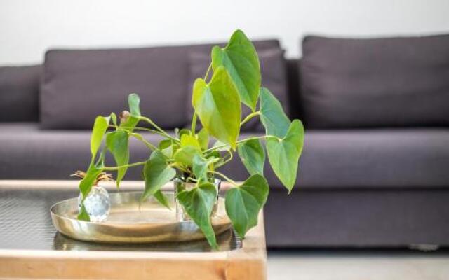 IVY Seaview Apartments