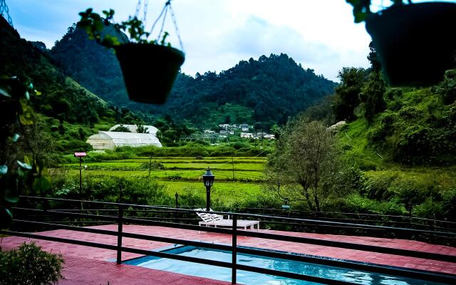 The Jungle Pool