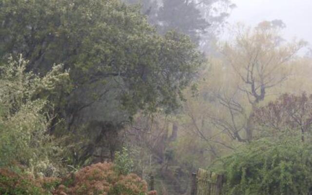 Blackberry Hill Farm