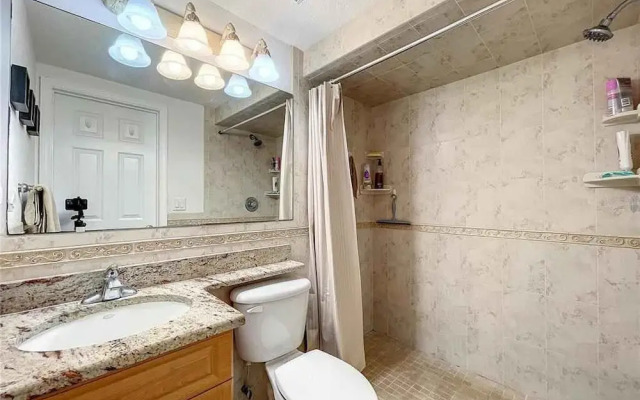 Enjoy Sunset with Dolphin and Manatee