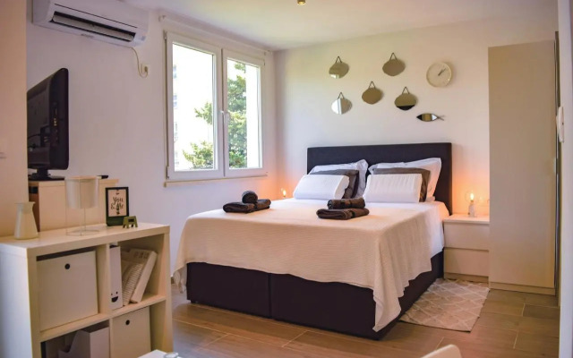 Studio Apartments Anija