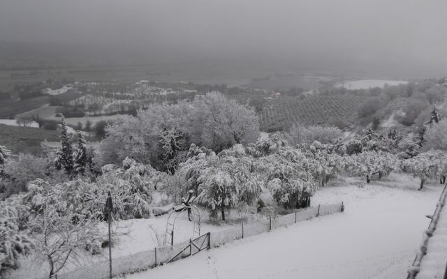 A  Casa di Mì Affittacamere