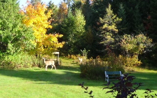 LÉvasion Gîte et Refuges