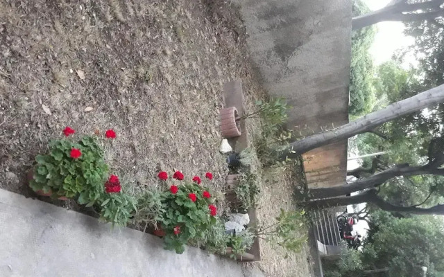 Apartment Marino