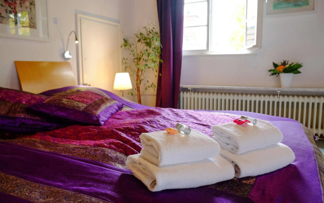 RheinRiver Guesthouse - Direkt am Rhein