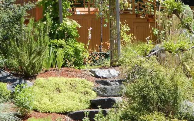 Green Cat Guest House