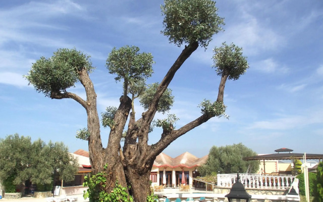Alize Tatil Koyu