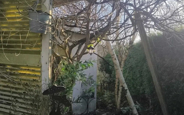 Charming Studio the Heart of the Forest