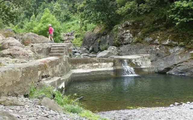 Sweet Home for Holidays