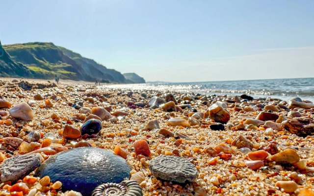 Charmouth Lodge