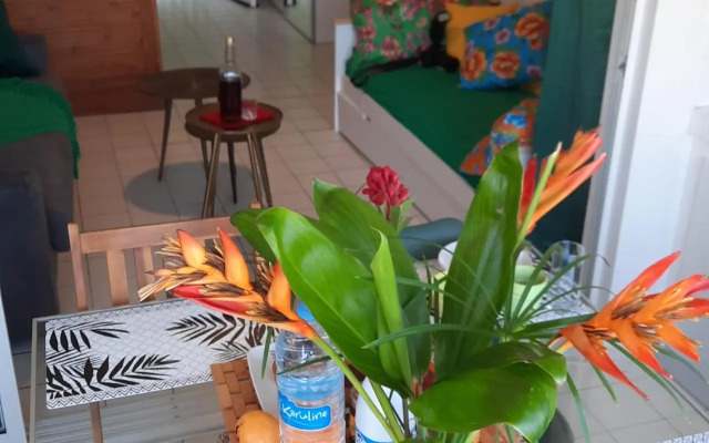 Studio Tropic Beth proche plage