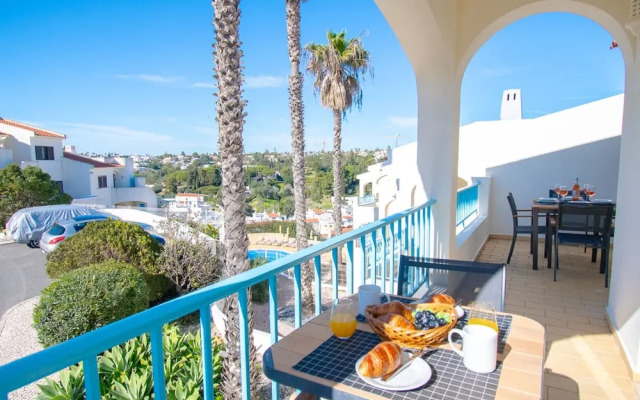 99B Hibiscus Monte Dourado