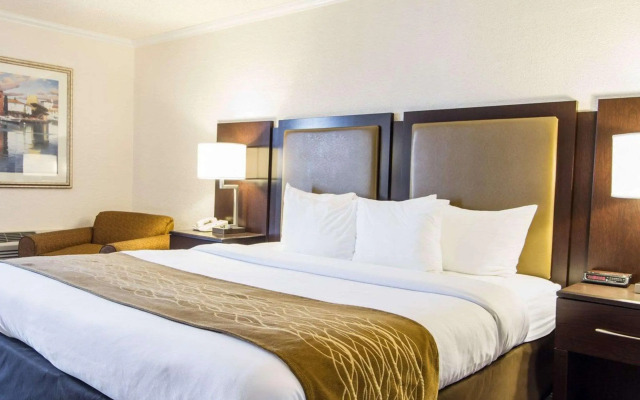 Comfort Inn Oceanside Deerfield Beach